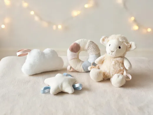 Newborn sensory toy stage